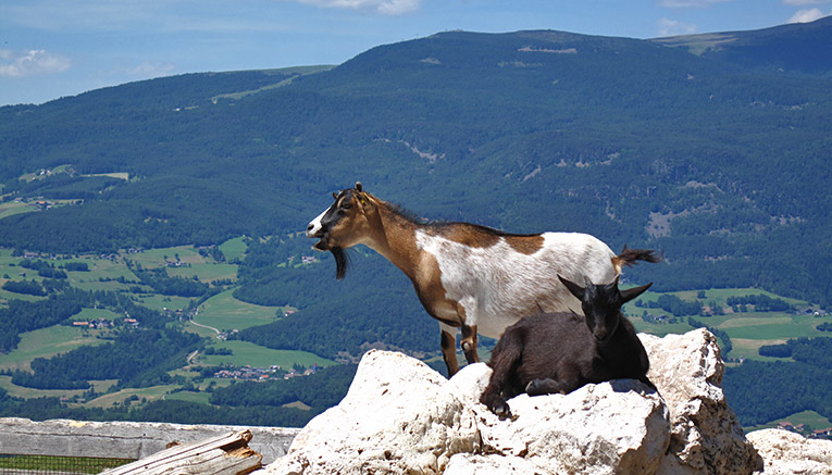 Mtdif-dolomites-multisport-12